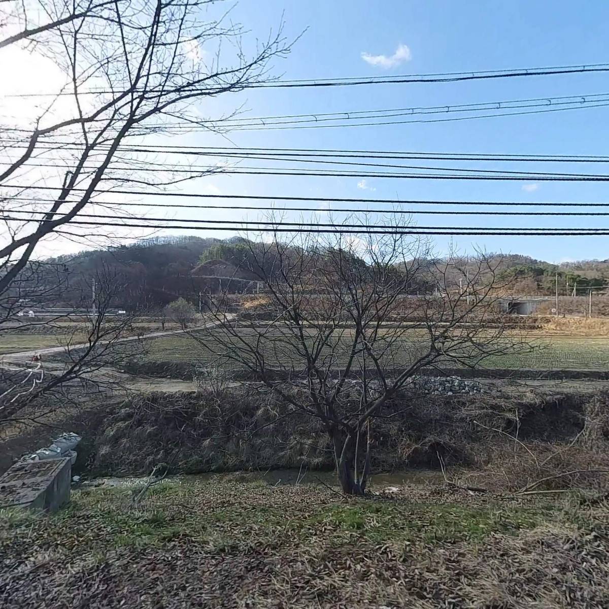 금숙정