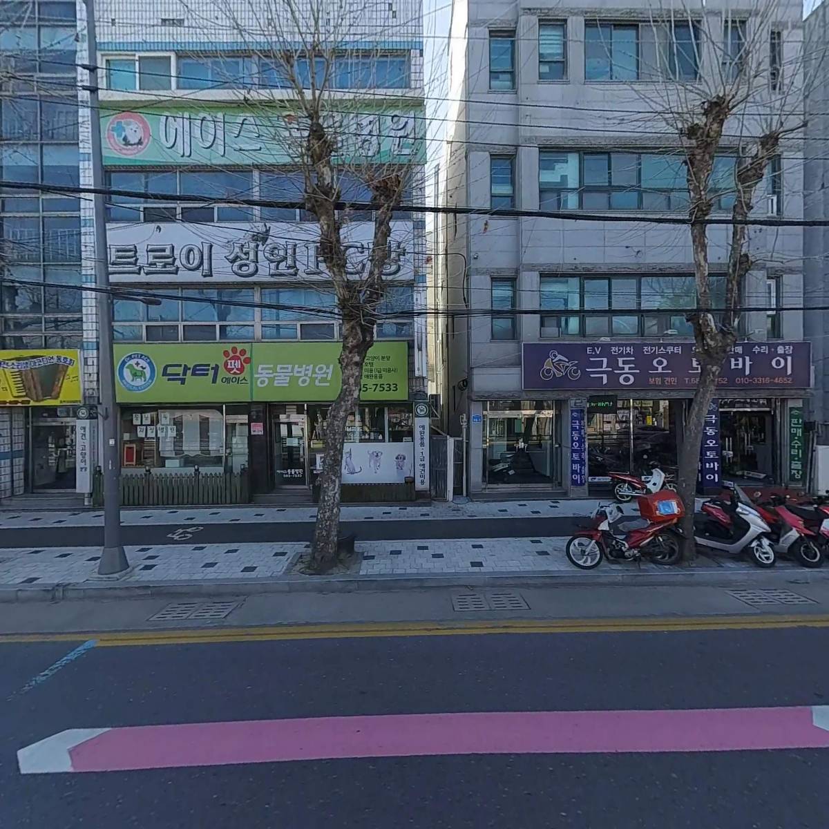 닥터 펫 플러스 동물병원