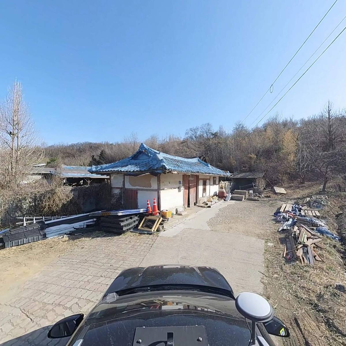 나무사랑_4