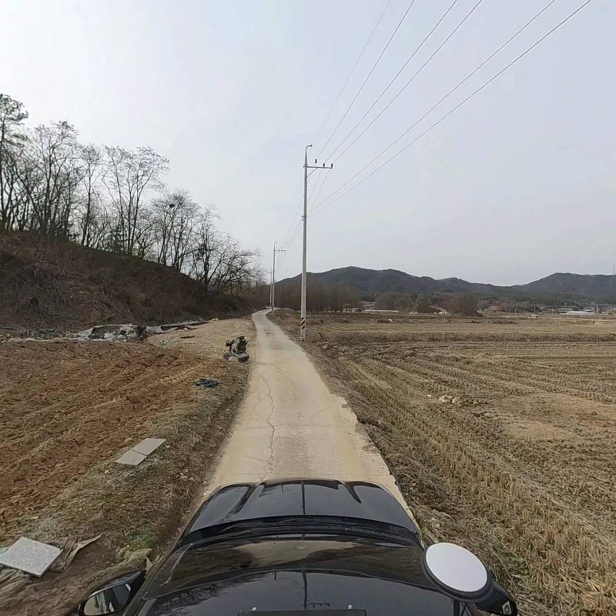 펫시_4