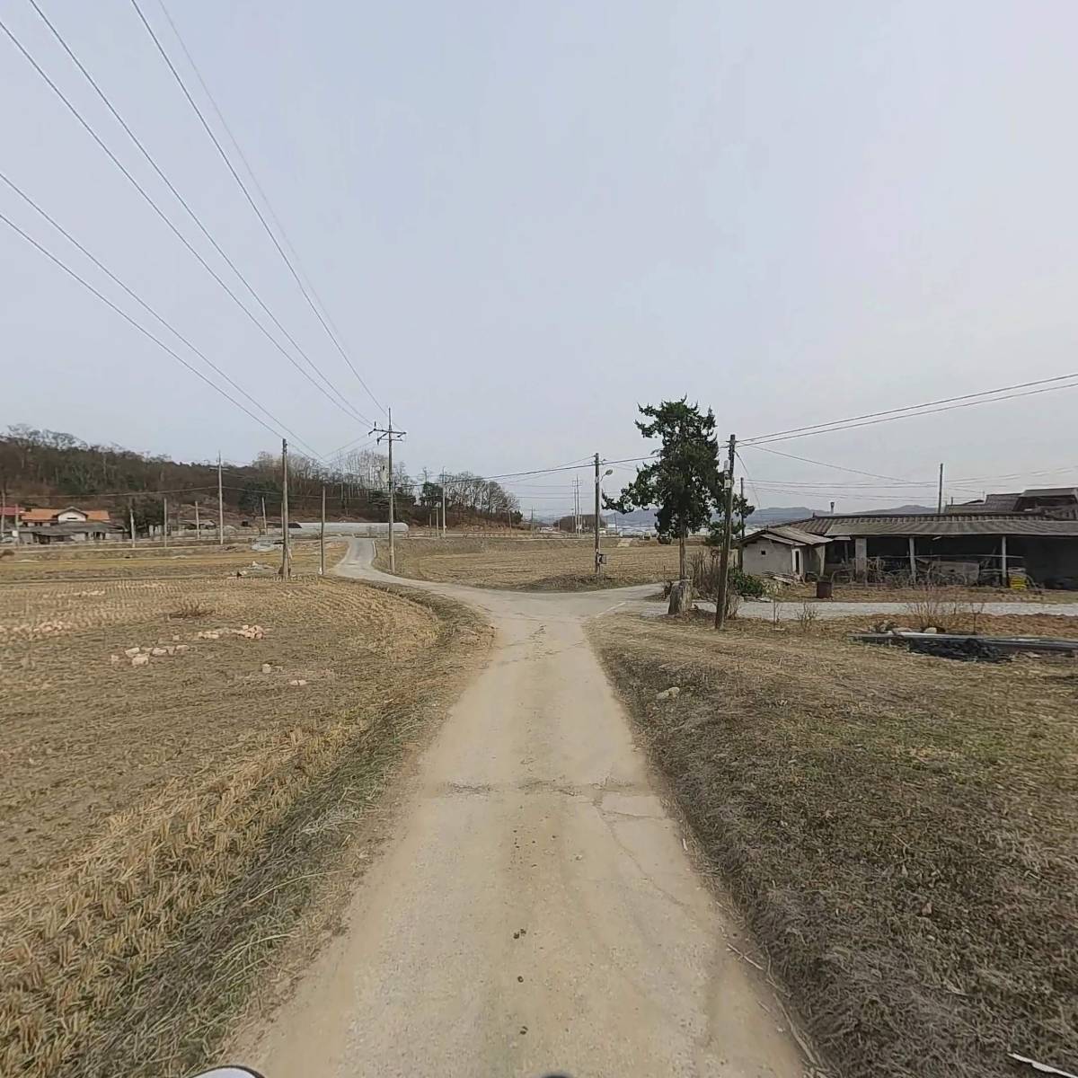 펫시_2