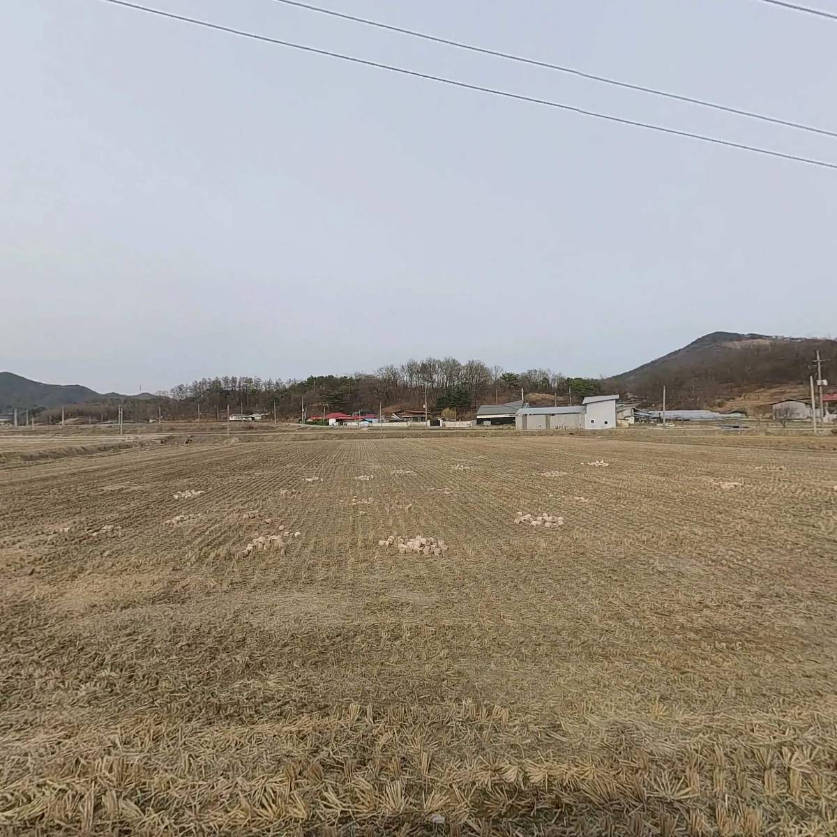 펫시