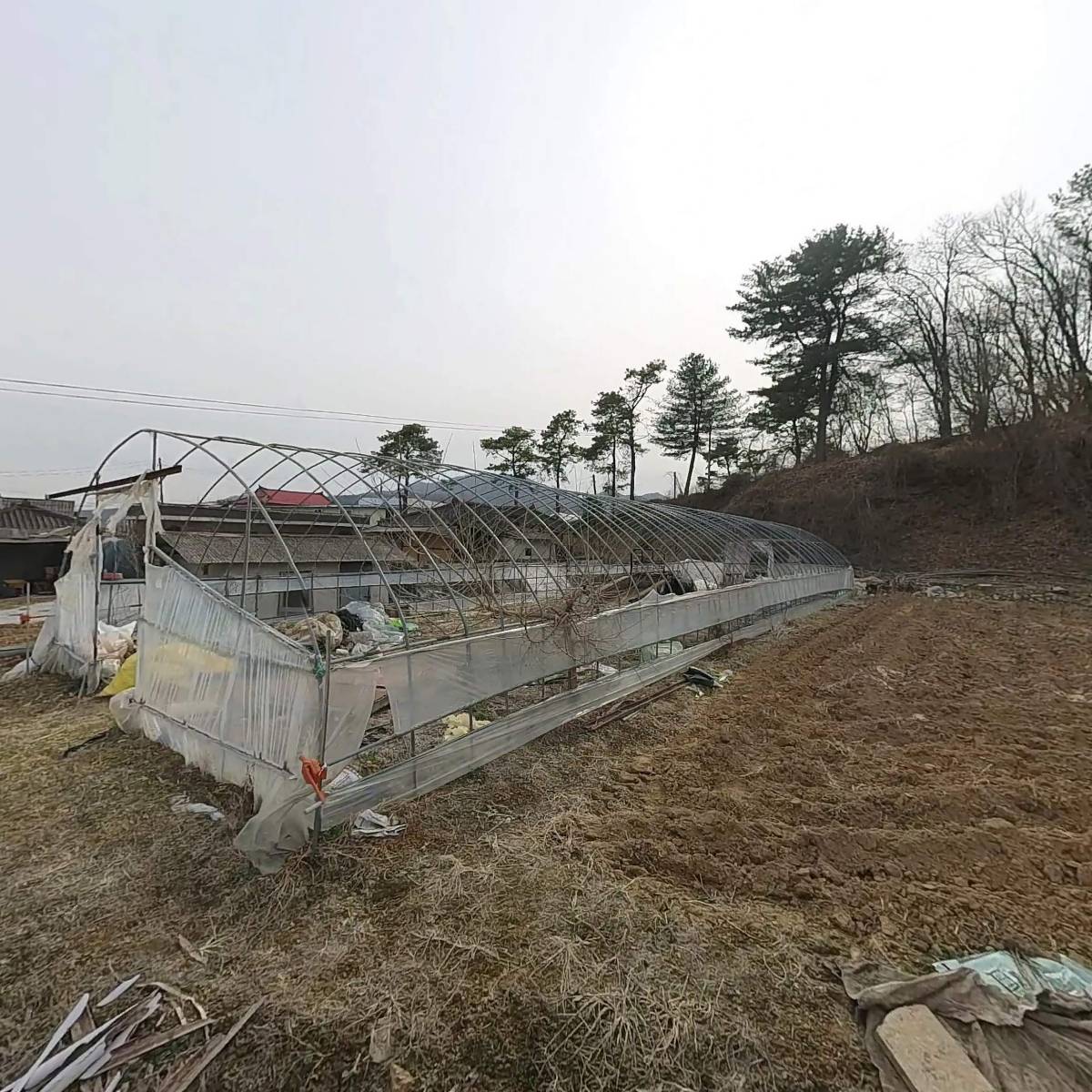 펫시_3