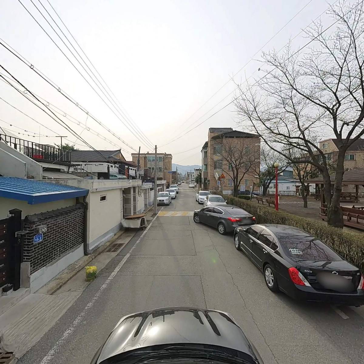 충주야생화 연구회_4