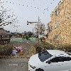 충주야생화 연구회