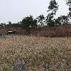 시골유통