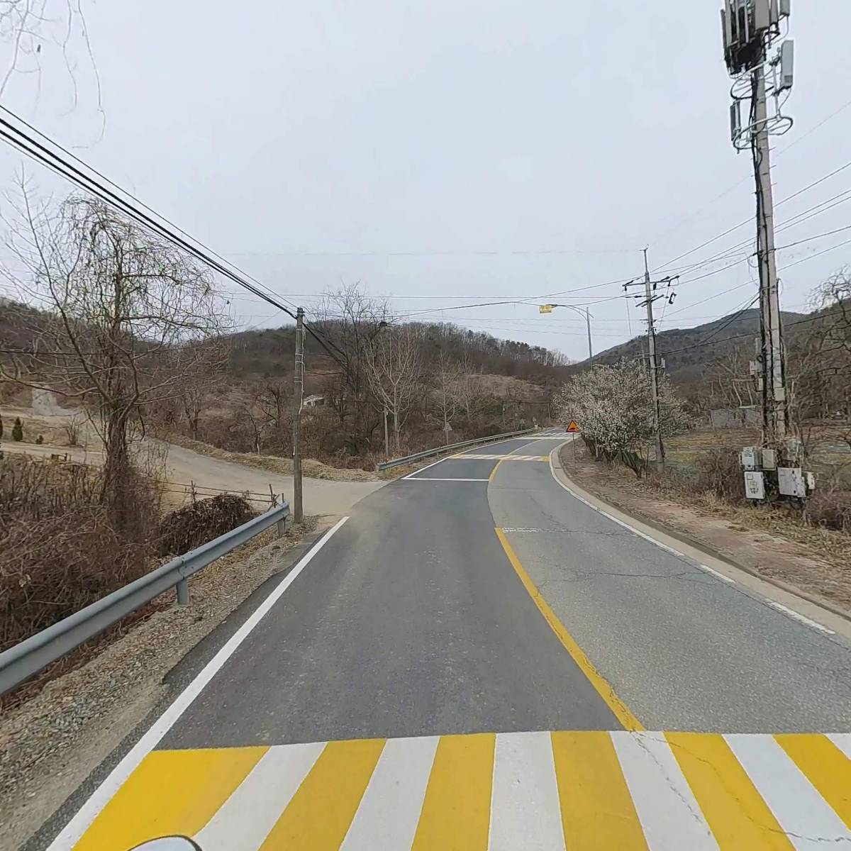 엘에스에스_2