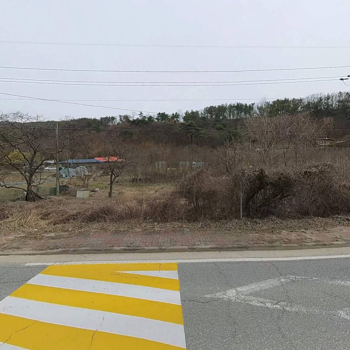 엘에스에스_3