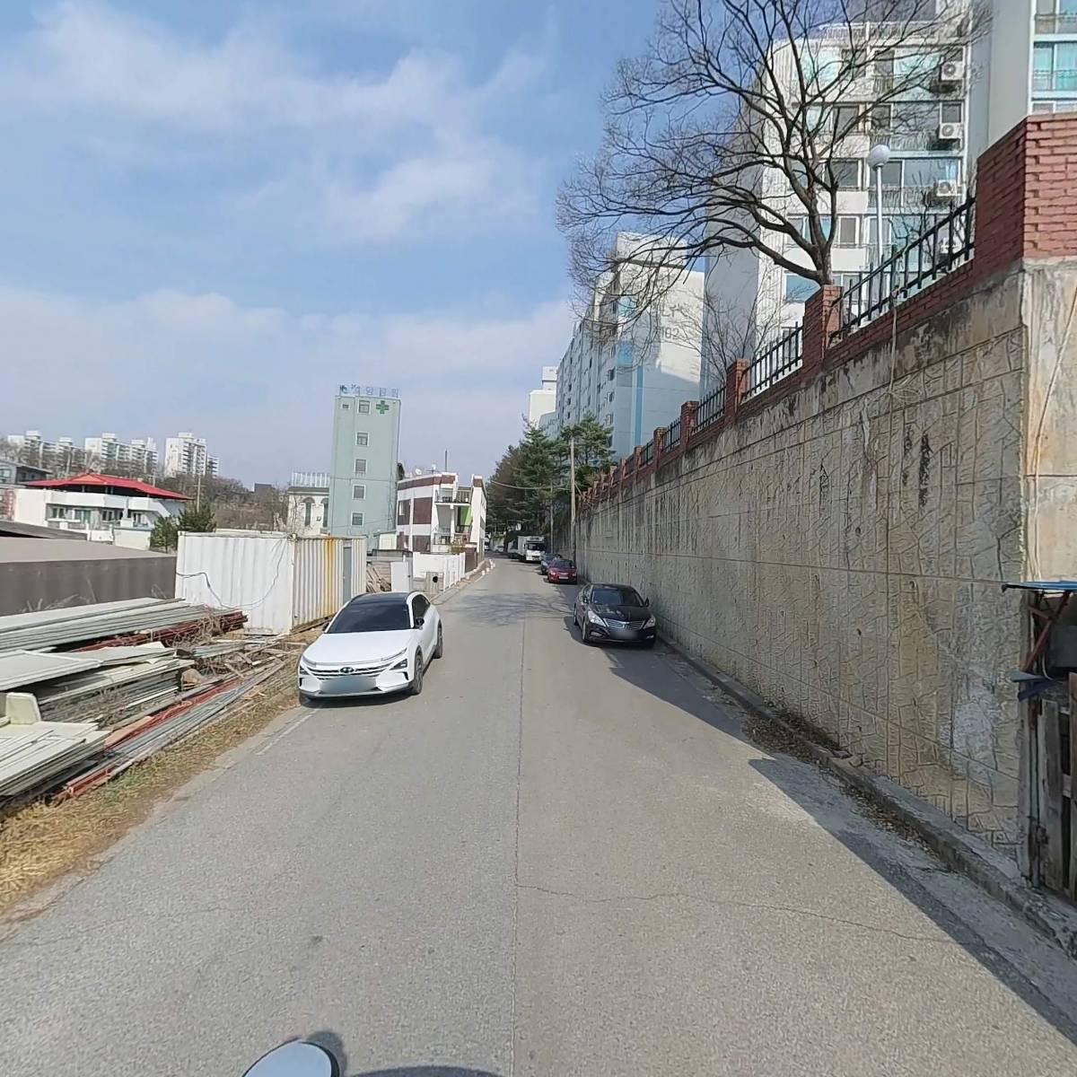 도니돼지_2
