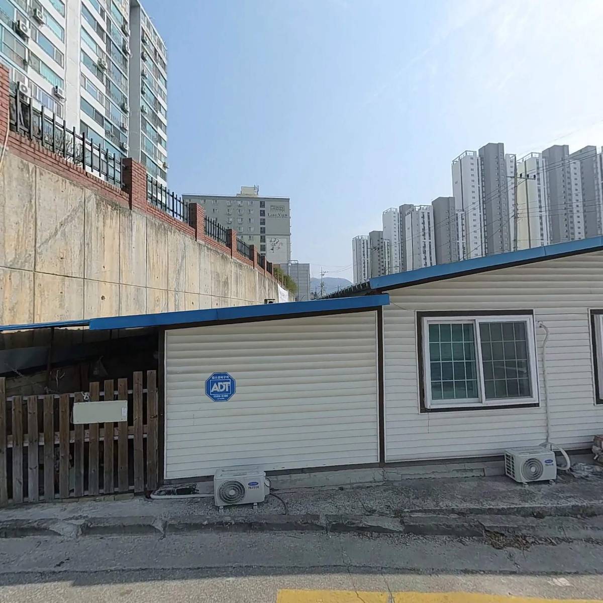 도니돼지_3