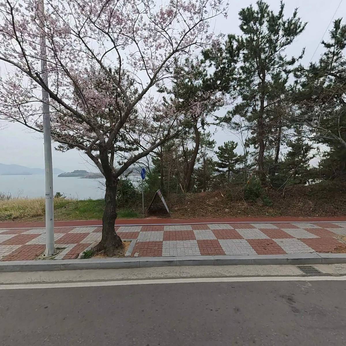 갈치조림 맛 맛 맛있는 집