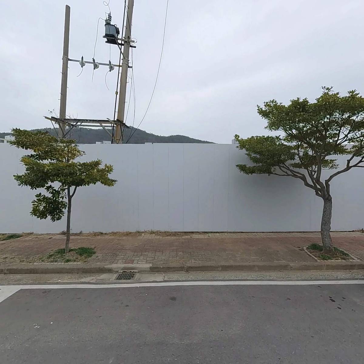 어풍선어