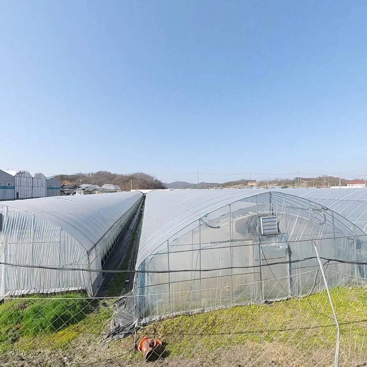 서세종영농조합법인