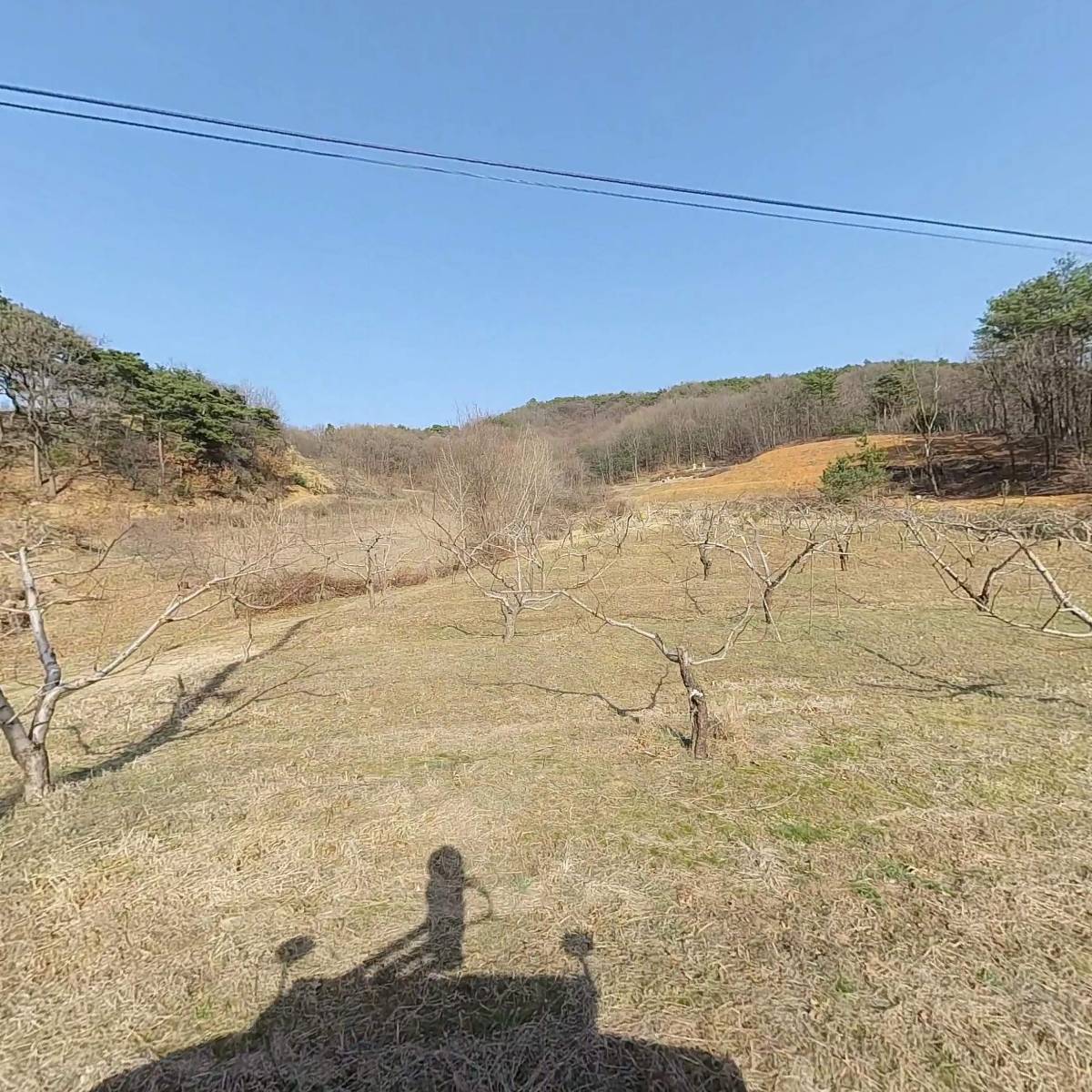 꼬미코리아