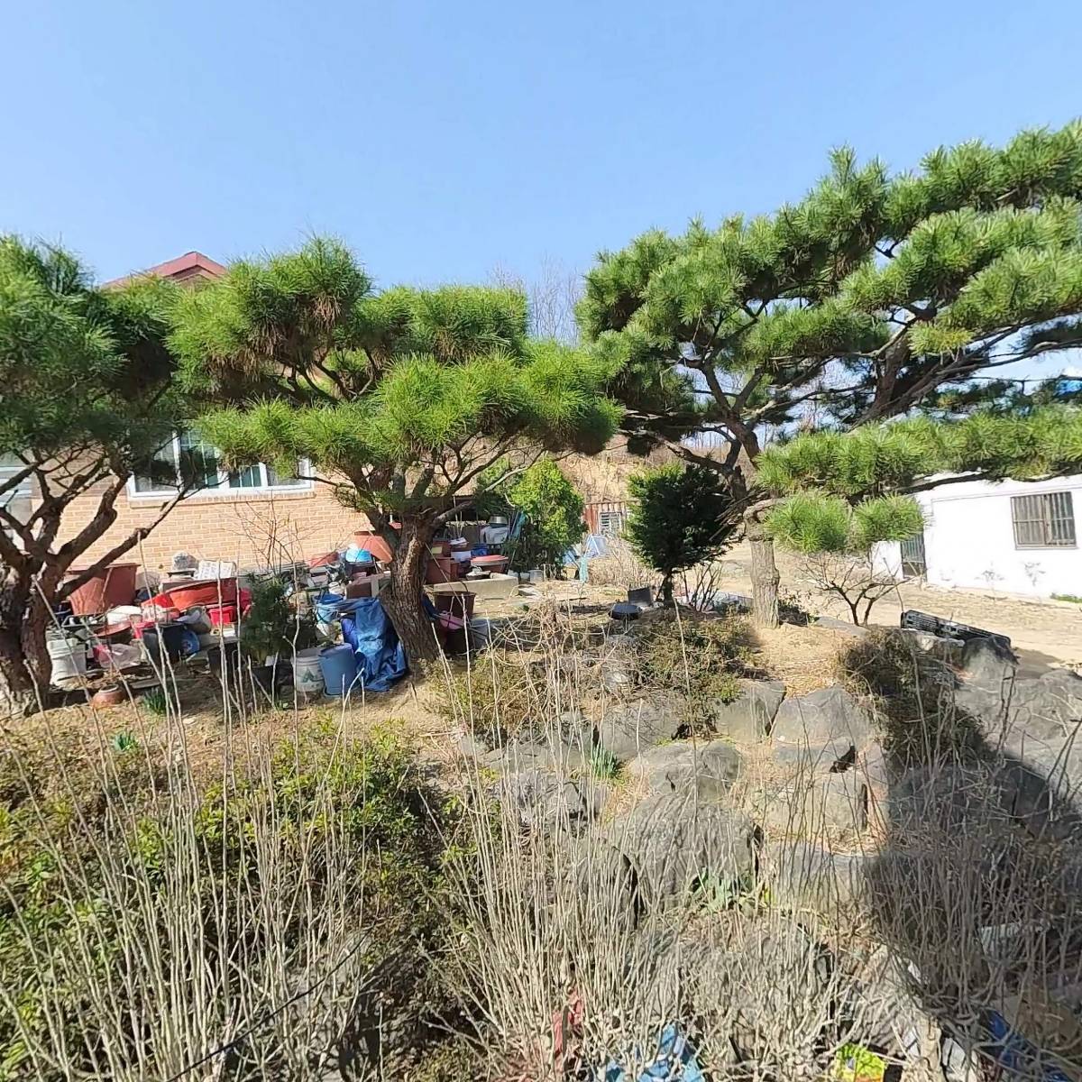 한국드론산림방제 협동조합