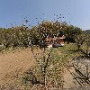 （재）청원장학회