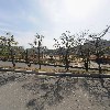 주식회사 두발로유소년축구클럽
