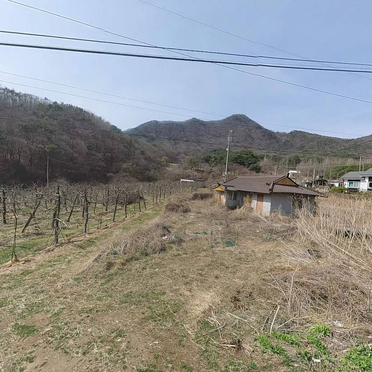 기독교대한감리회서운반석교회_3