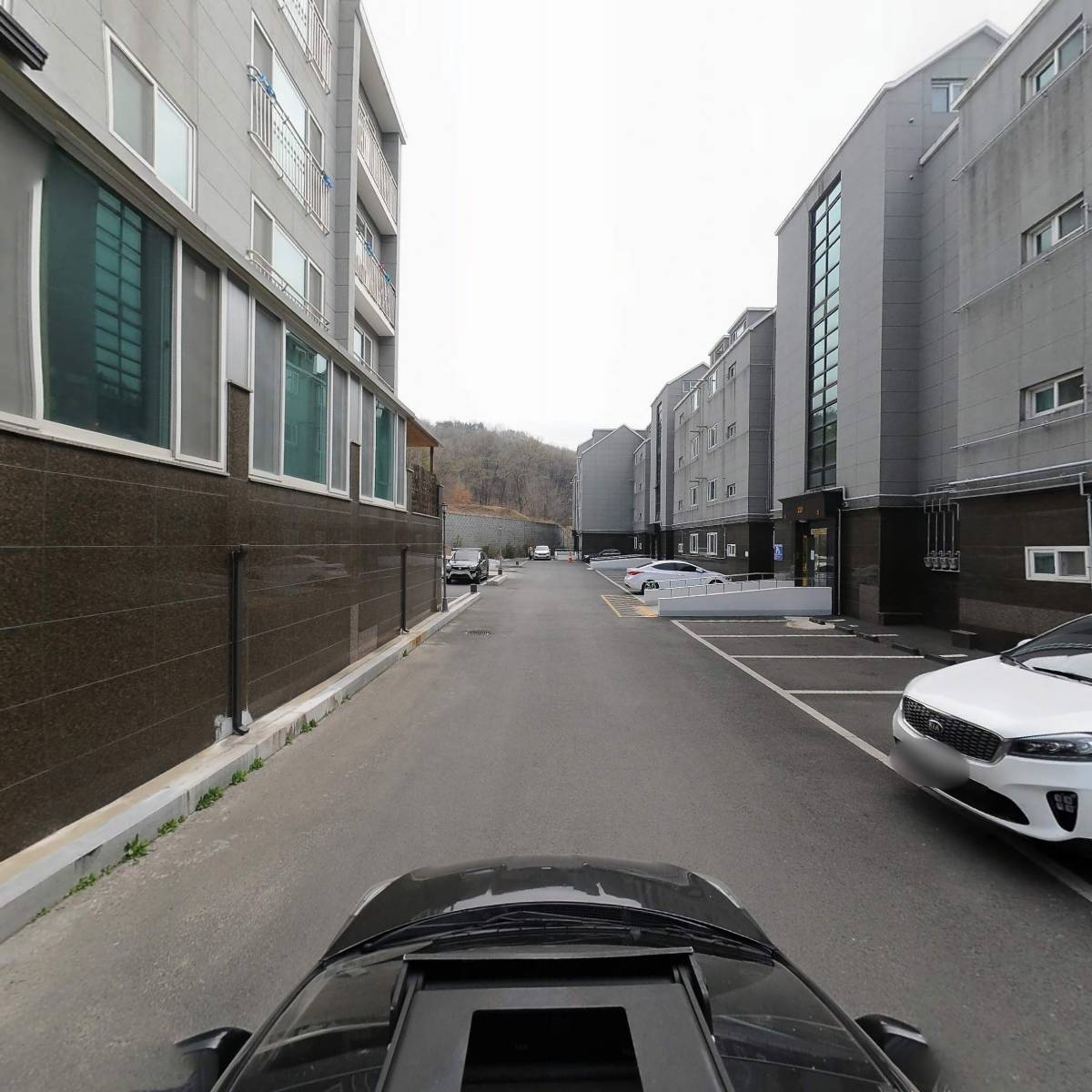 찡블리비츠_4