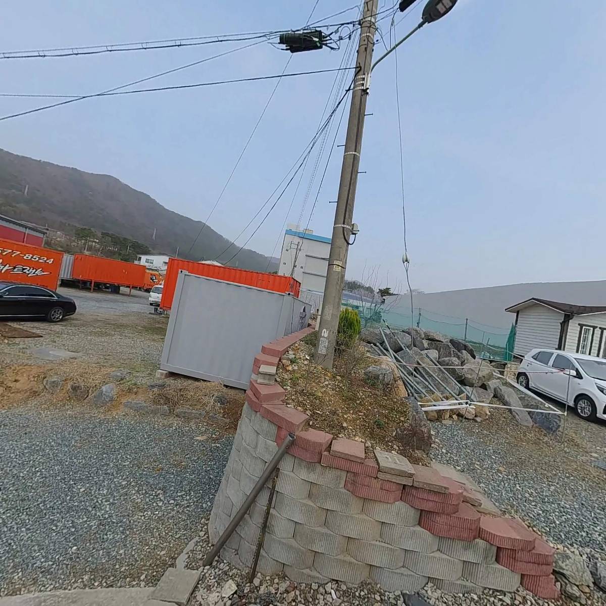 늘푸른_3