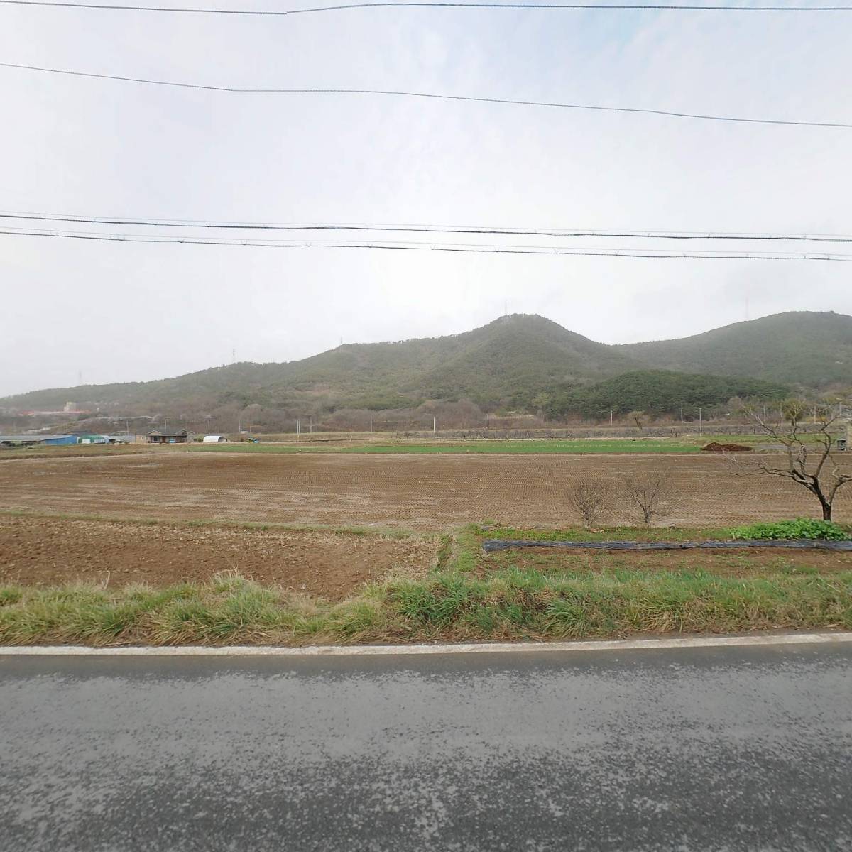 세양로직스_3