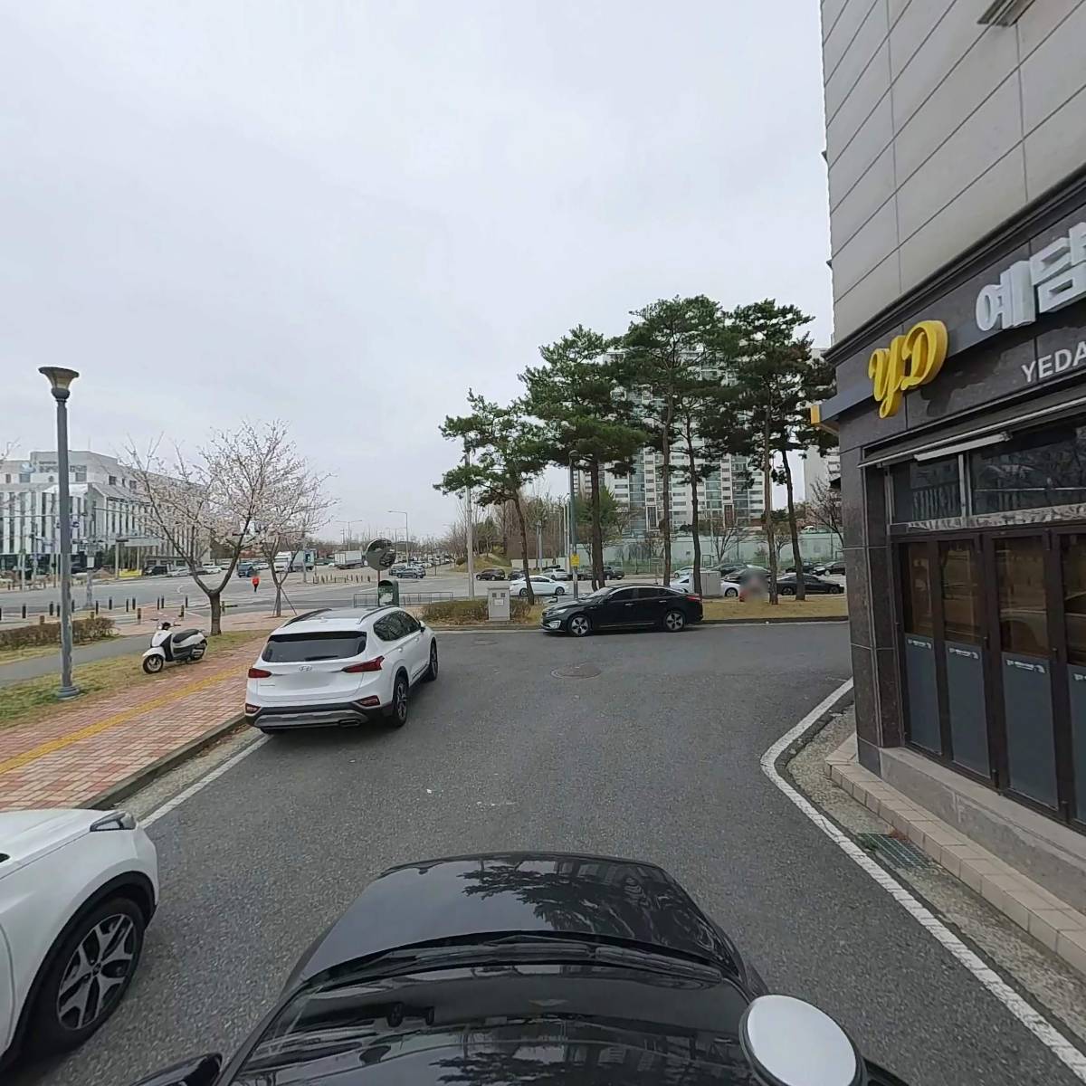 예담도기타일_4