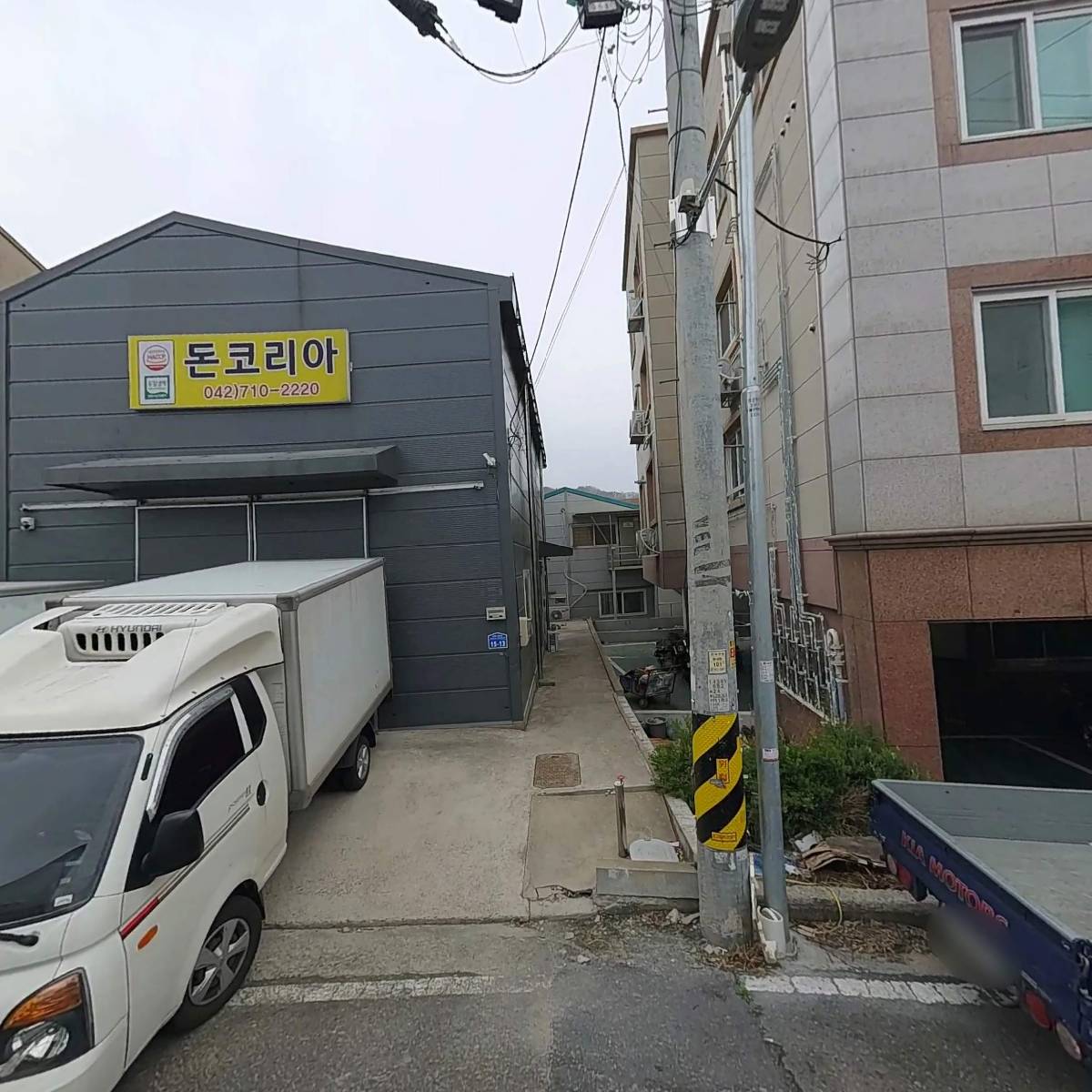 돈코리아