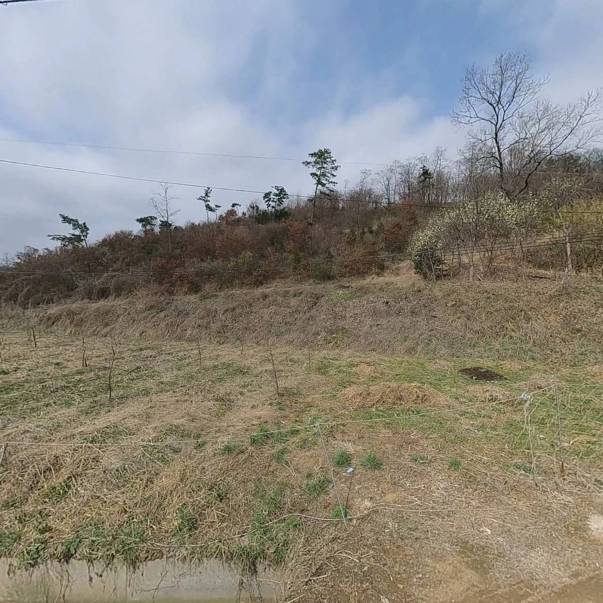 주식회사 리팜 농업회사법인