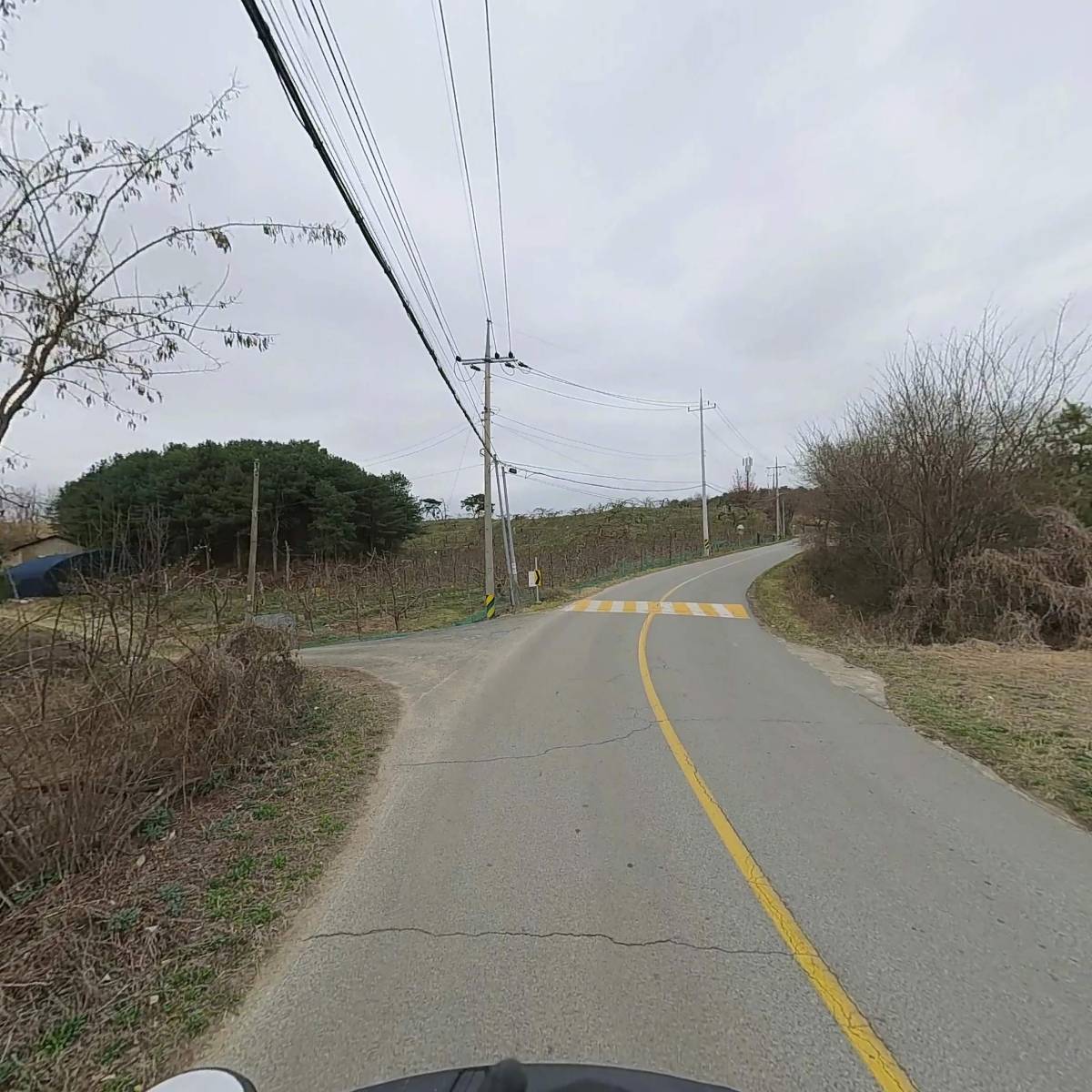 휴먼스_2