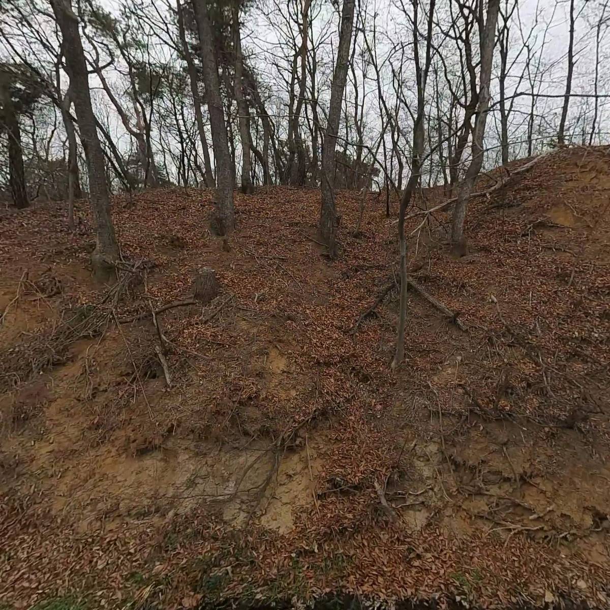 대한물산2