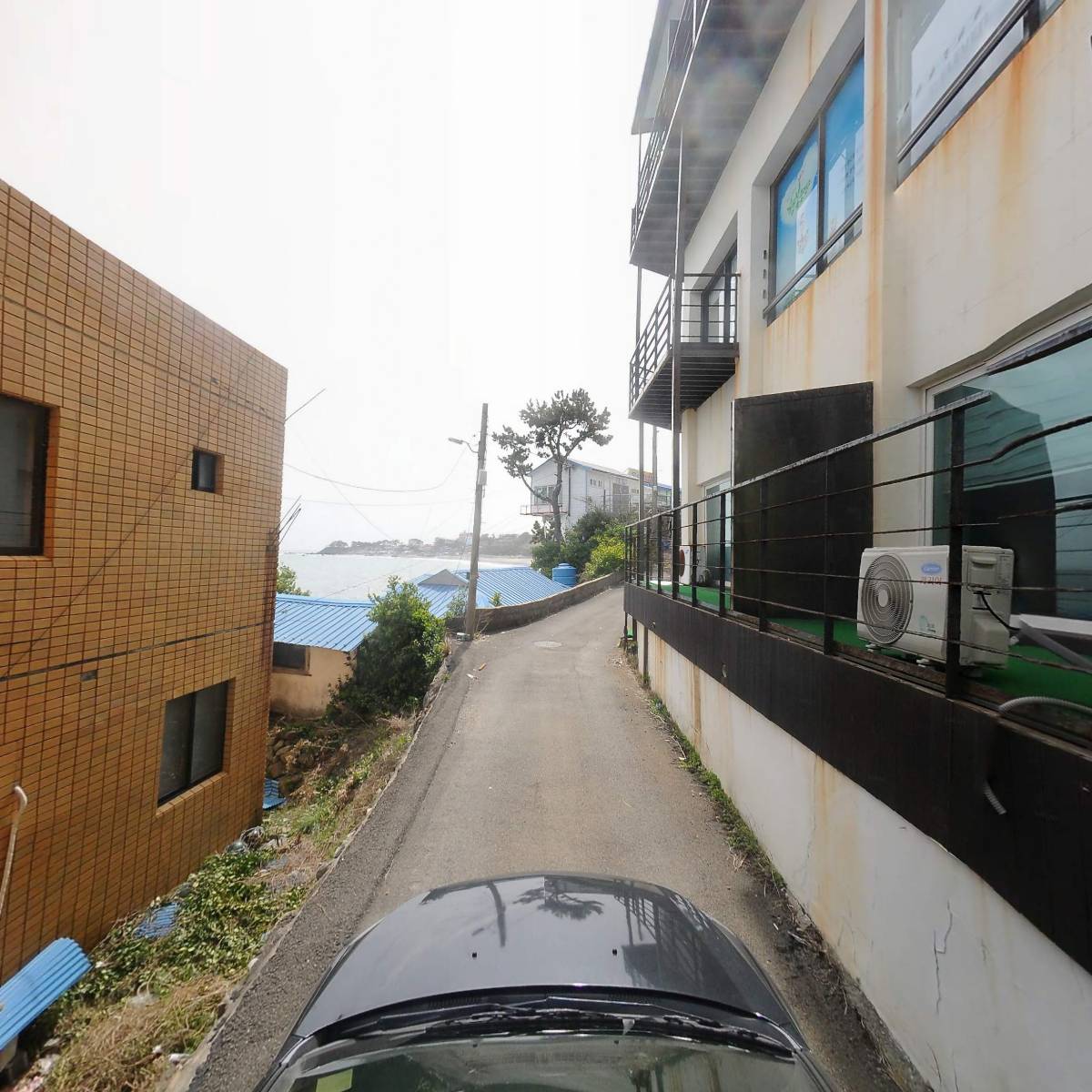 주식회사 늘푸른수산_4