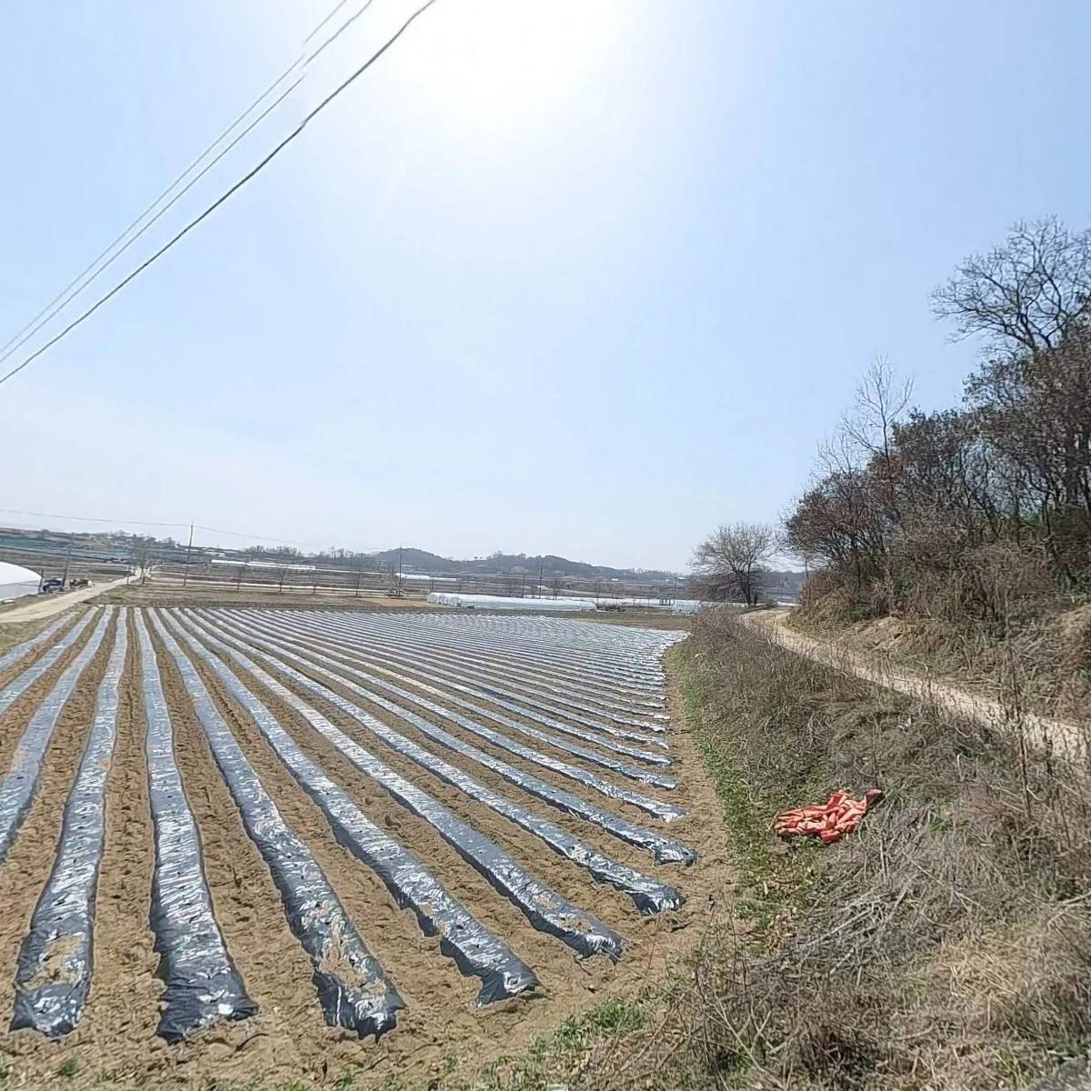 서선택 태양광발전소_3