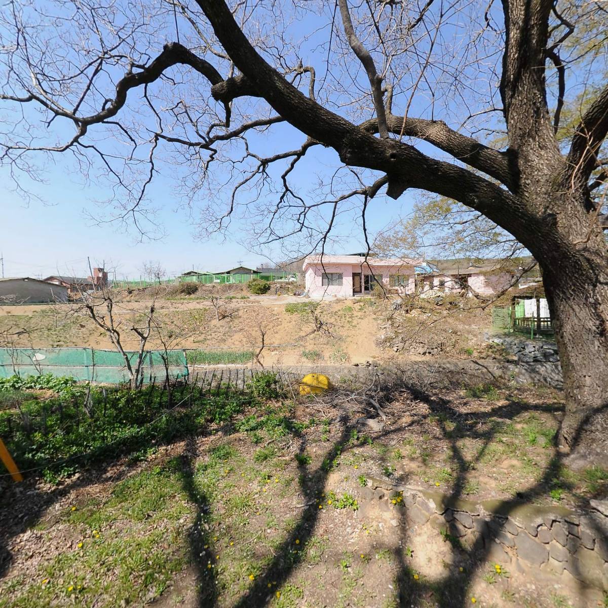 패밀리팜[Family Farm]