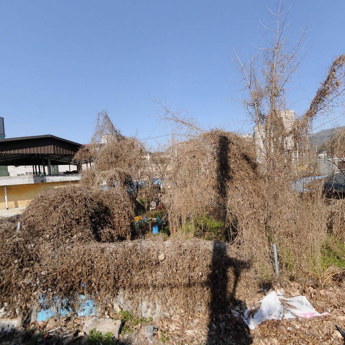 사）한국농아인협회 경상북도협회 청도군지회