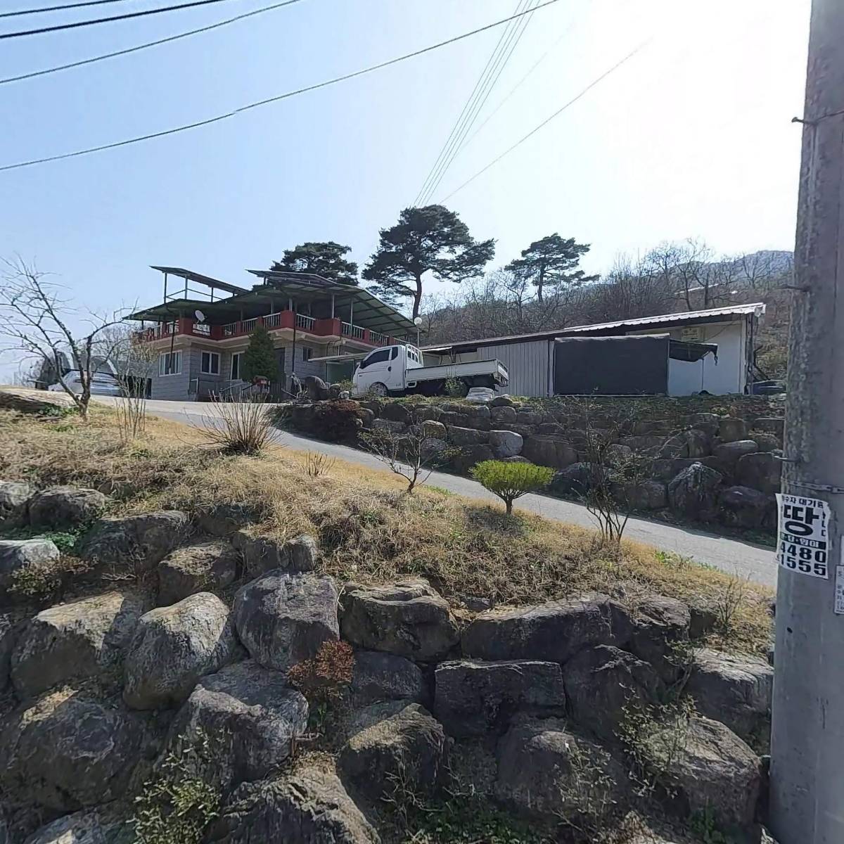 운수 벌목