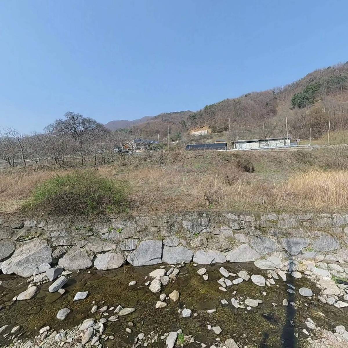 운수 벌목_3
