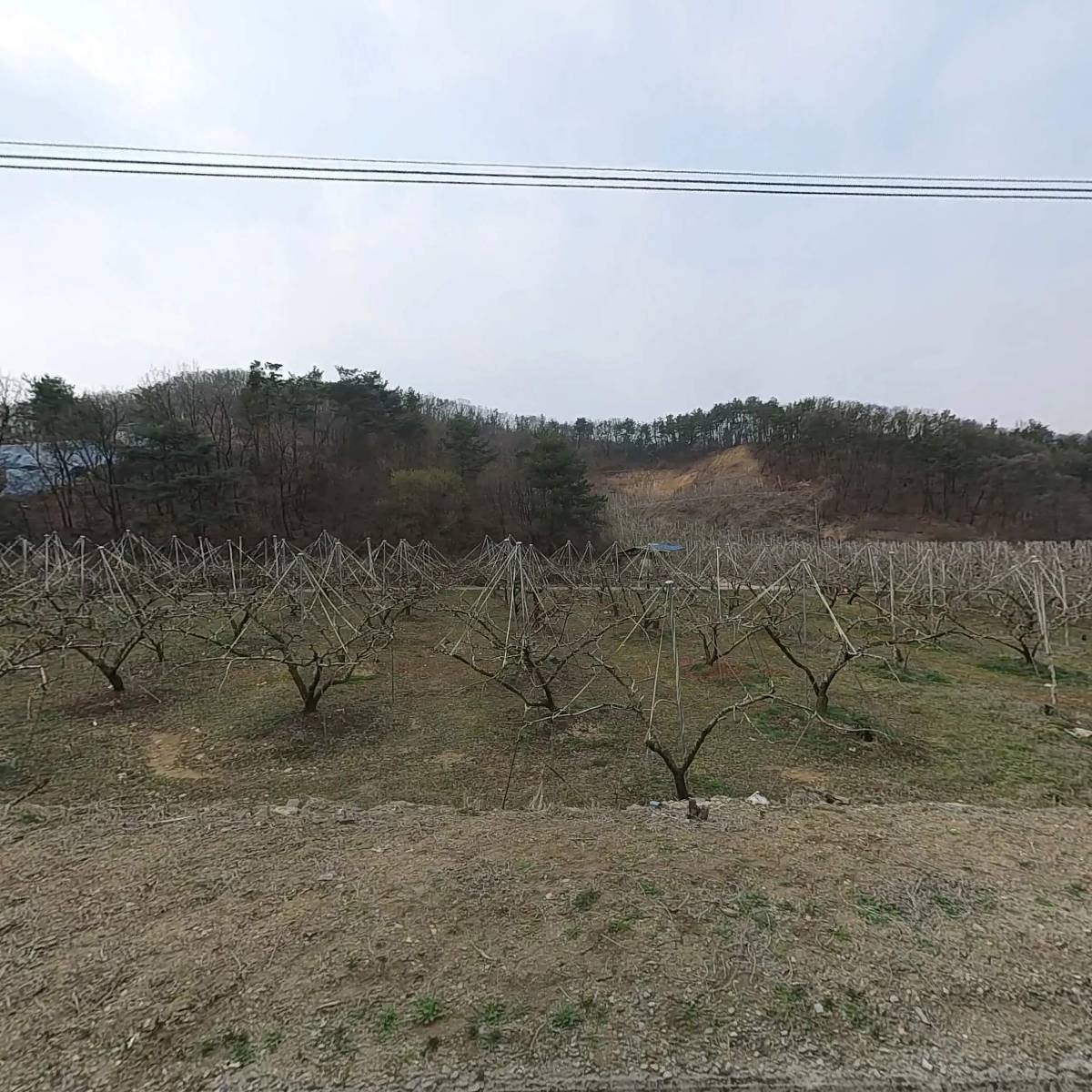 (주)자연라이프 박스공방