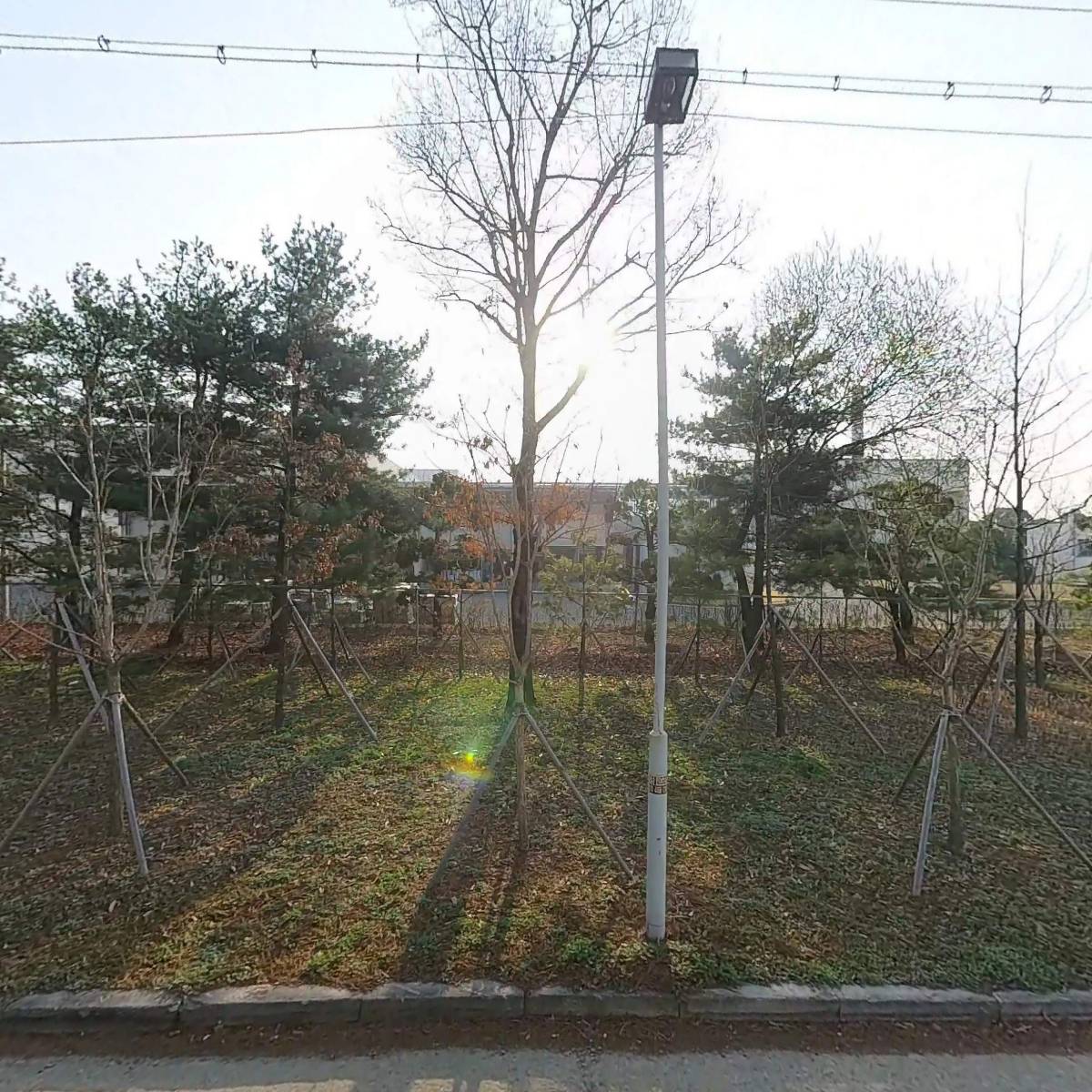 한국푸디팜_3