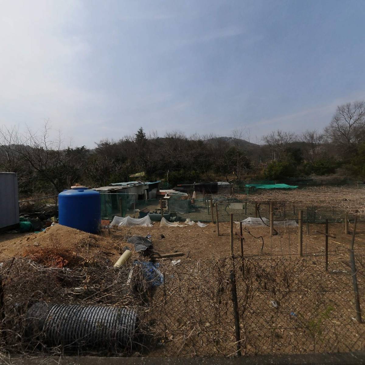 강동초등학교