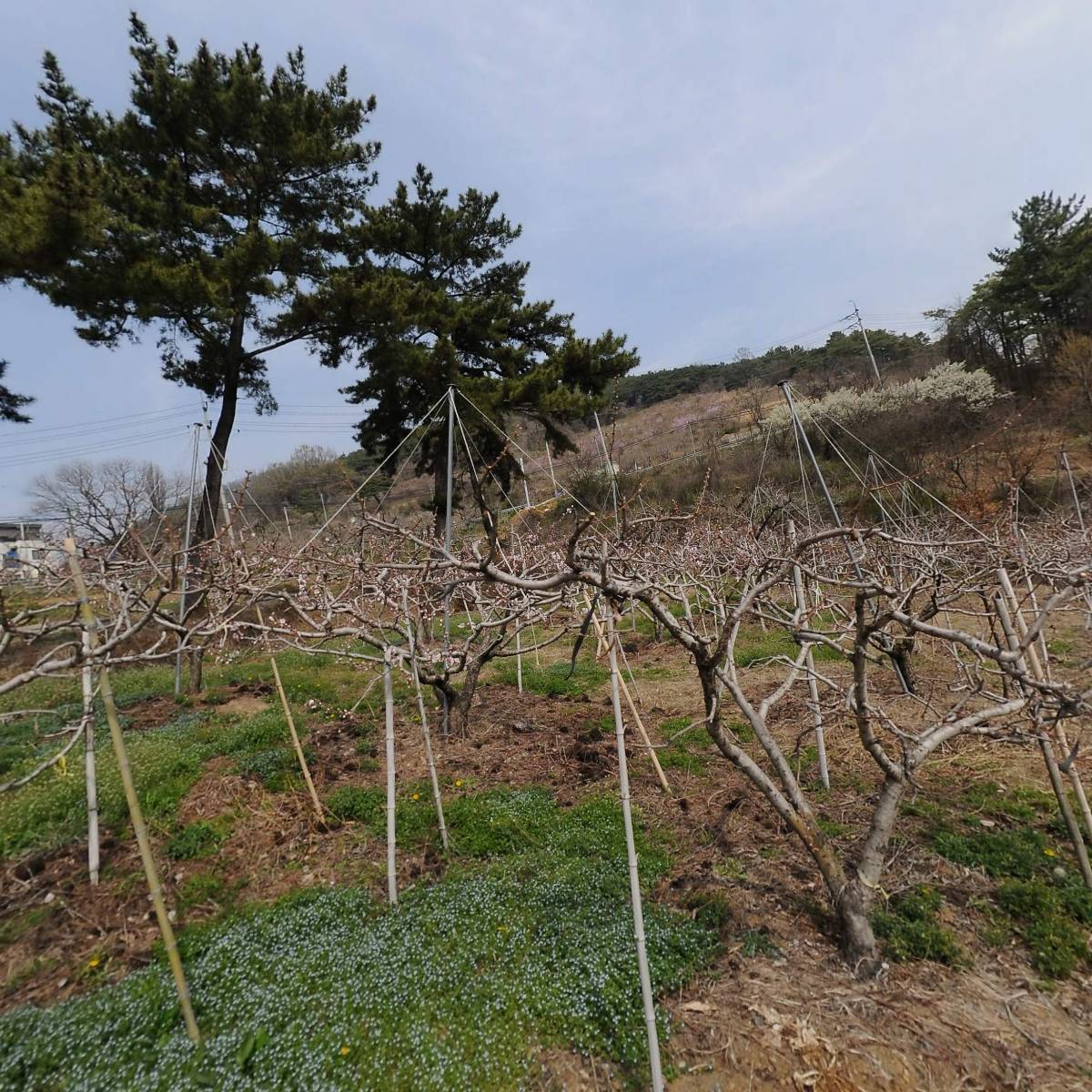 주식회사소우주