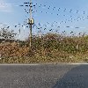 주식회사영진텐트_3