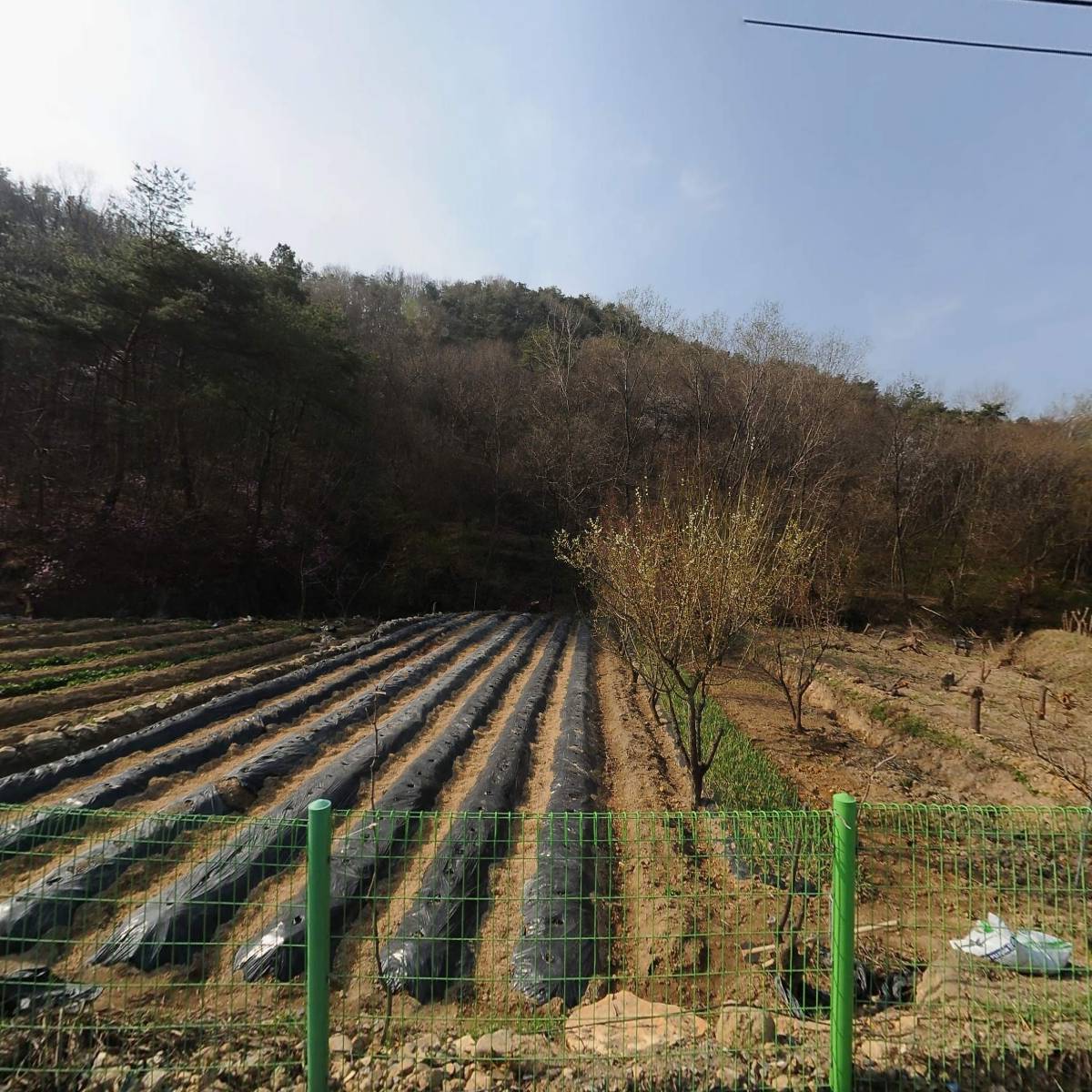 농업회사법인 화갑버섯마을 주식회사