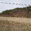 초계석재_3