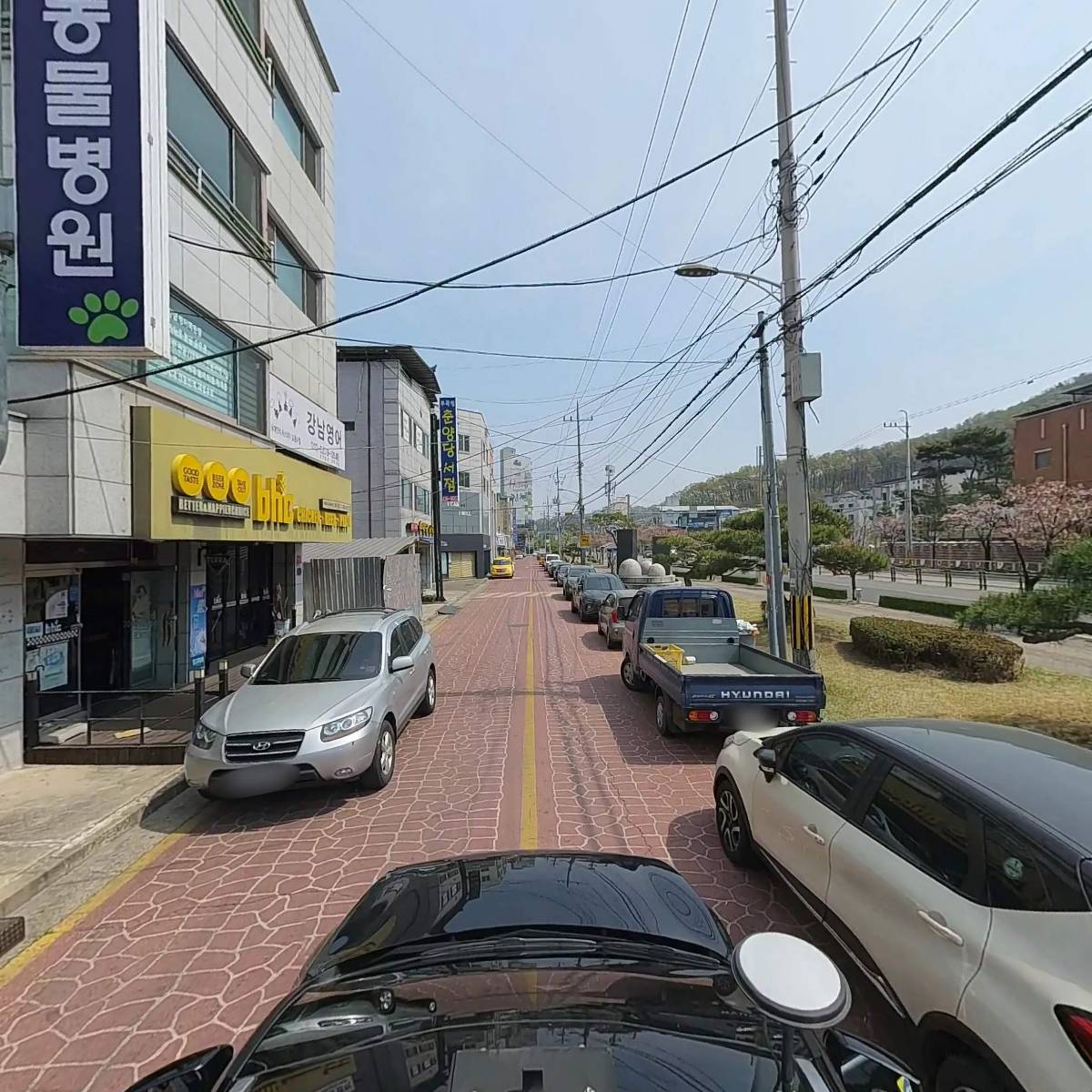 지수동물병원_4