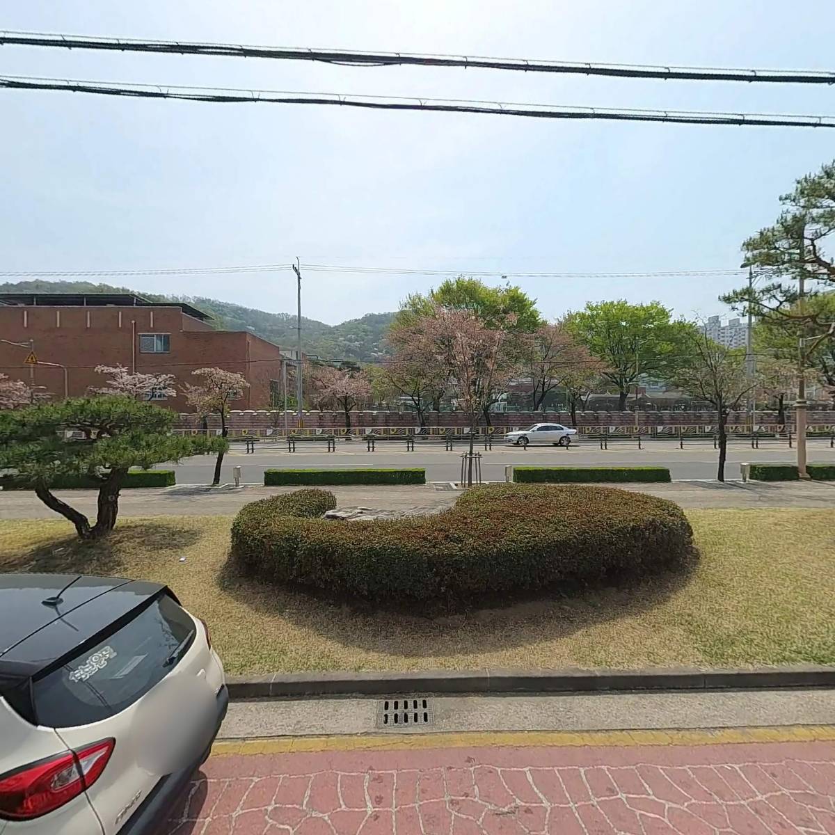 지수동물병원