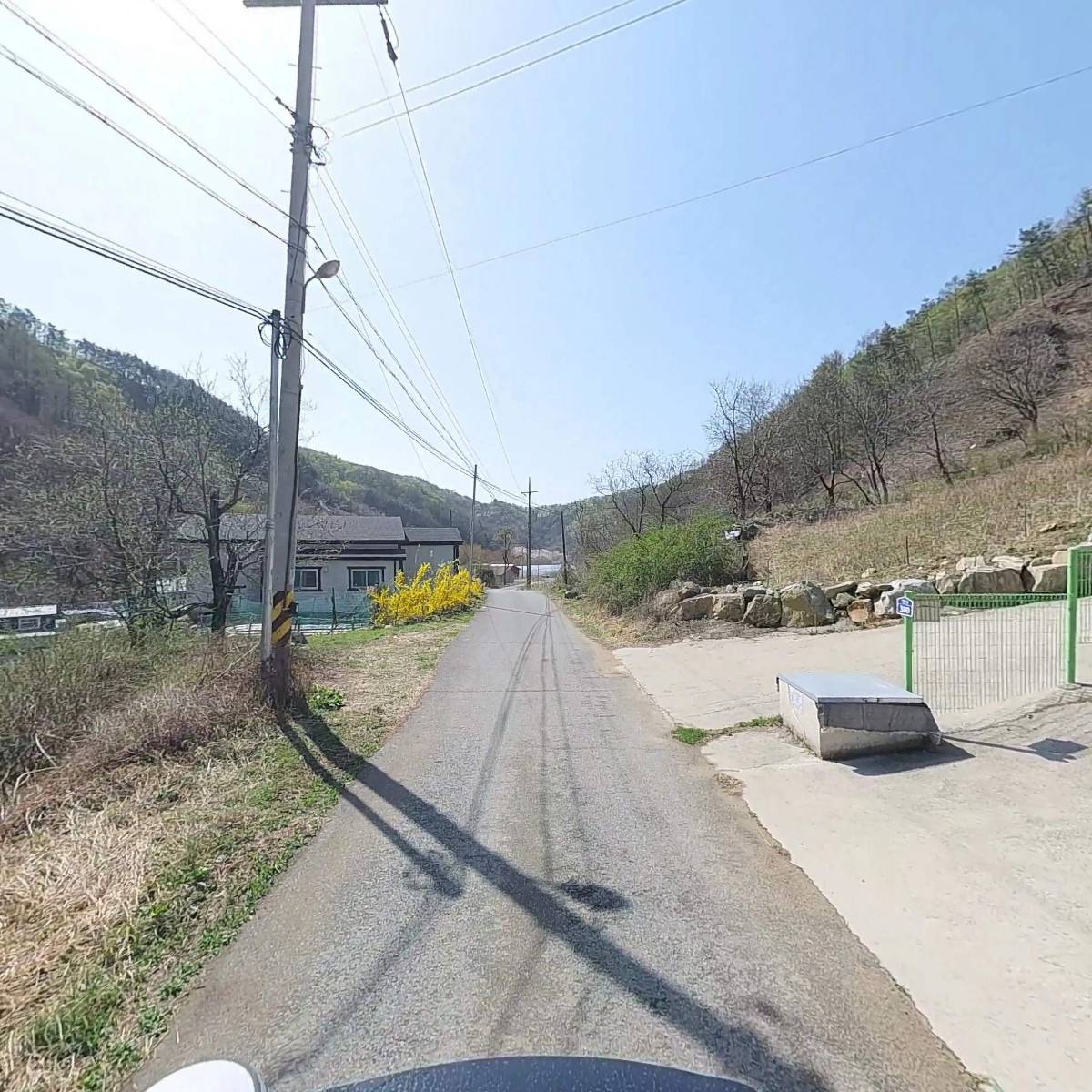 셀리농장_2