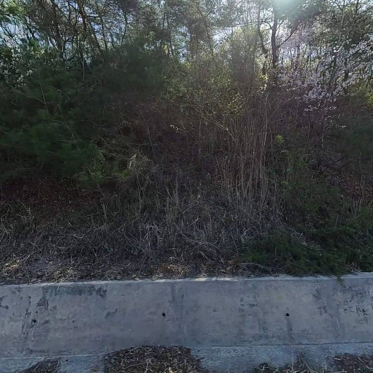 안동댁 사과 농원