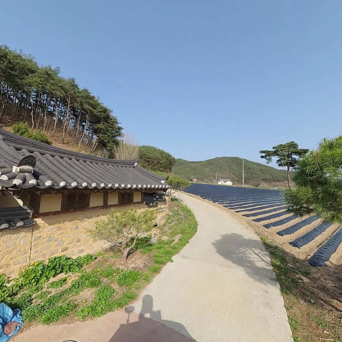 노송정종택_2