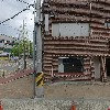돈돼지