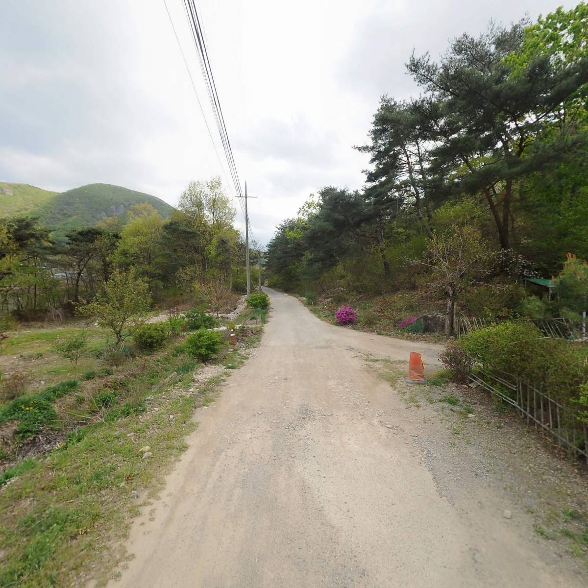 힐링약초카페_2